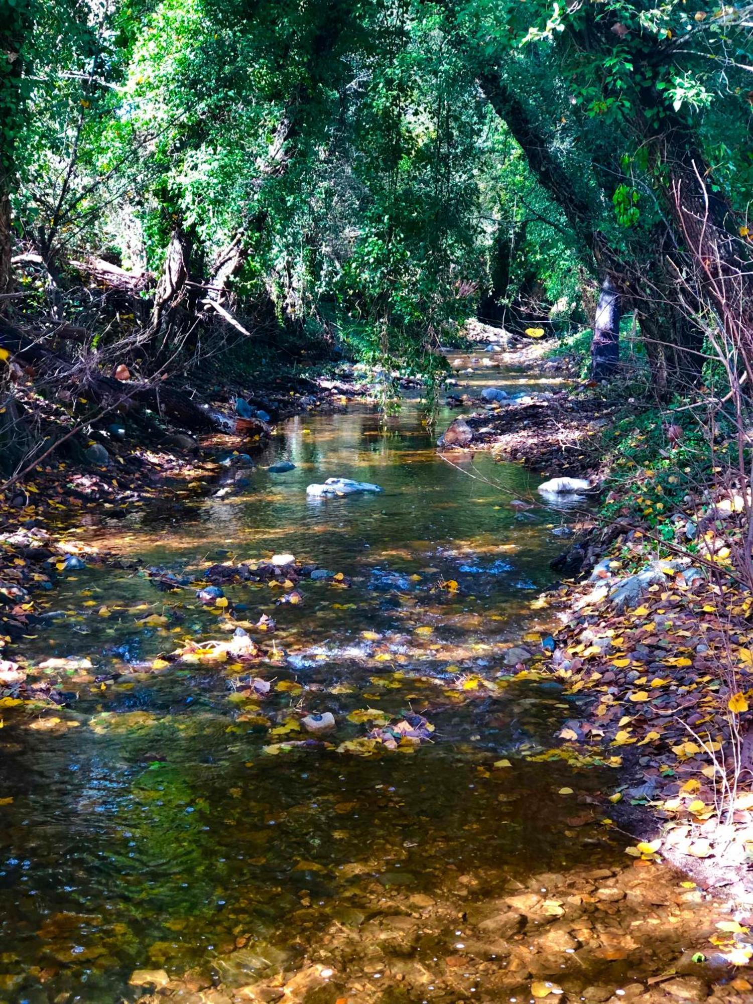 Rural El Castano *