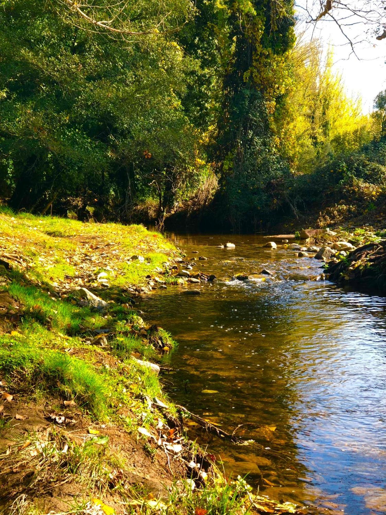 Rural El Castano